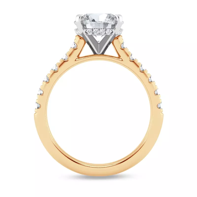 14K Yellow Gold Tradition Hidden Halo Cathedral Pavé Lab Engagement Ring (.55ct. tw.)