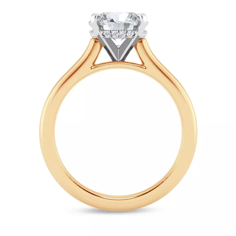 14K Yellow Gold Signature Hearts & Arrows Hidden Halo Cathedral Lab Engagement Ring (2.7mm)