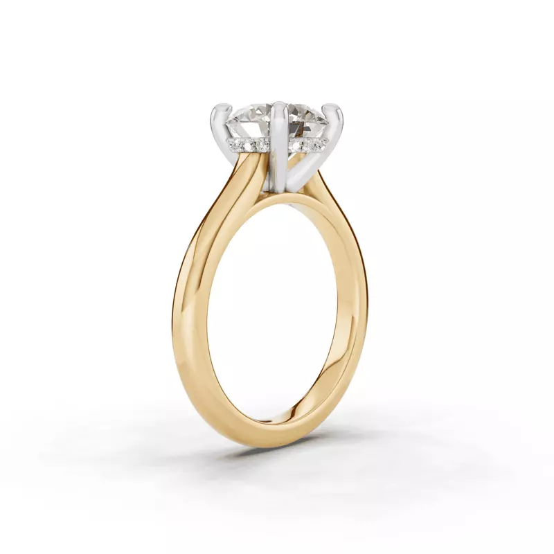 14K Yellow Gold Signature Hearts & Arrows Hidden Halo Cathedral Lab Engagement Ring (2.7mm)