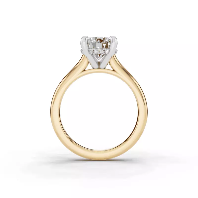 14K Yellow Gold Signature Hearts & Arrows Hidden Halo Cathedral Lab Engagement Ring (2.7mm)