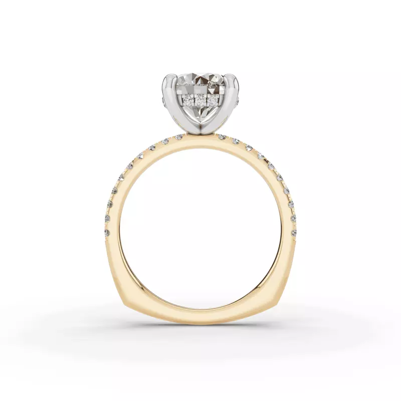 14K Yellow Gold Signature Hearts & Arrows Pavé Lab Euroshank Hidden Halo Engagement Ring (¼ ct. tw.)