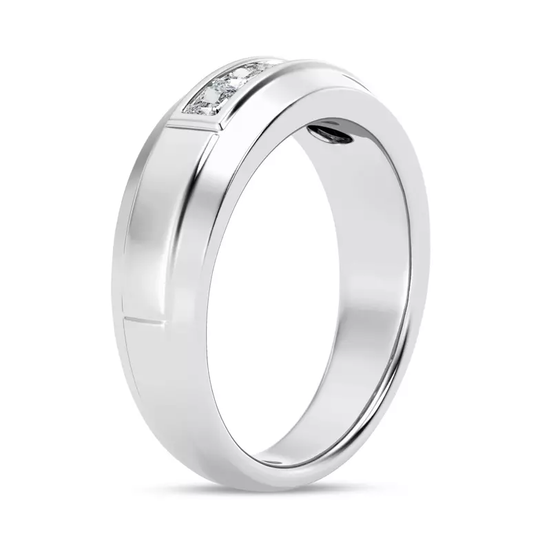 14K White Gold Raised Channel-Set Princess-Cut Diamond Band (7mm)