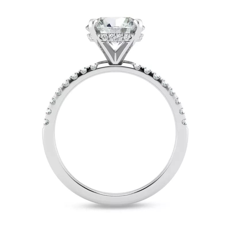 Platinum Signature Hearts & Arrows Hidden Halo Pavé Engagement Ring (1/3ct. tw.)