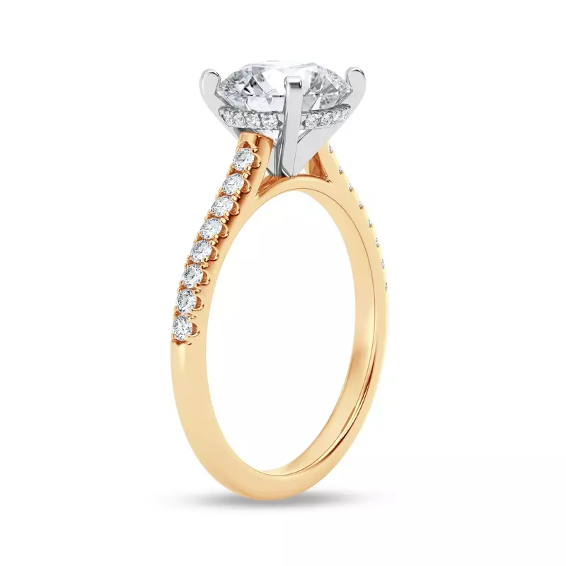 14K Yellow Gold Tradition Hidden Halo Cathedral Pavé Engagement Ring (.30ct. tw.)