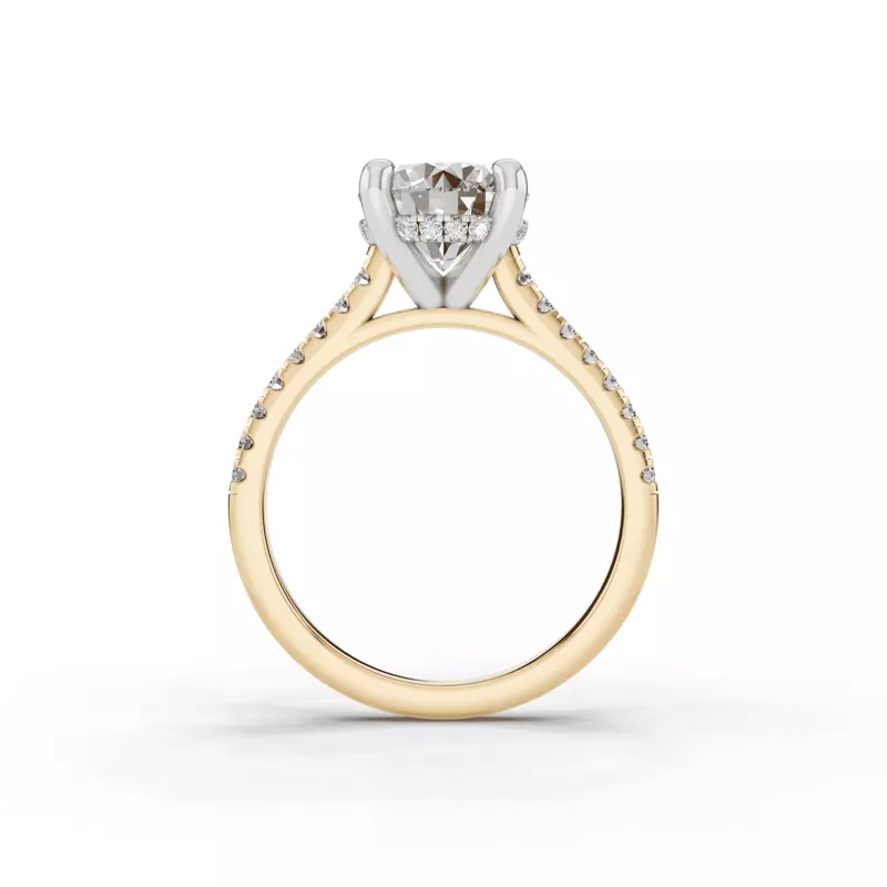14K Yellow Gold Tradition Hidden Halo Cathedral Pavé Engagement Ring (.30ct. tw.)