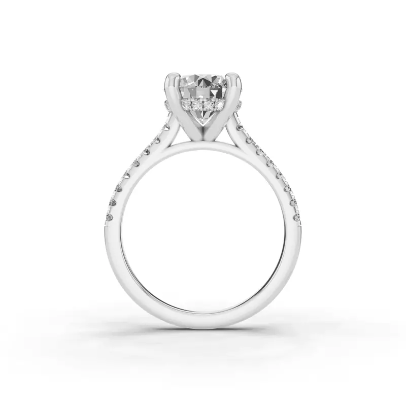 Platinum Tradition Hidden Halo Cathedral Pavé Engagement Ring (.30ct. tw.)
