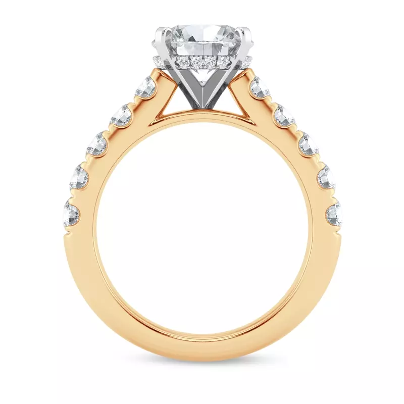 18K Yellow Gold Signature Hearts & Arrows Classic Hidden Halo Cathedral Engagement Ring (1.00ct. tw.)