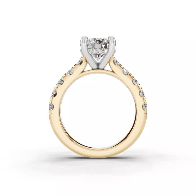 14K Yellow Gold Signature Hearts & Arrows Classic Hidden Halo Cathedral Engagement Ring (1.00ct. tw.)
