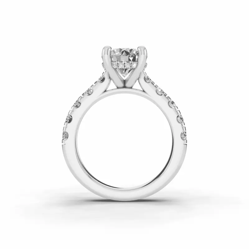Platinum Signature Hearts & Arrows Classic Hidden Halo Cathedral Engagement Ring (1.00ct. tw.)