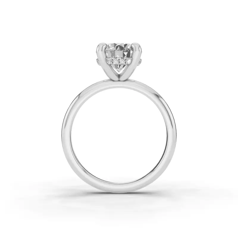 14K White Gold Signature Hearts & Arrows Hidden Halo Engagement Ring (2mm)