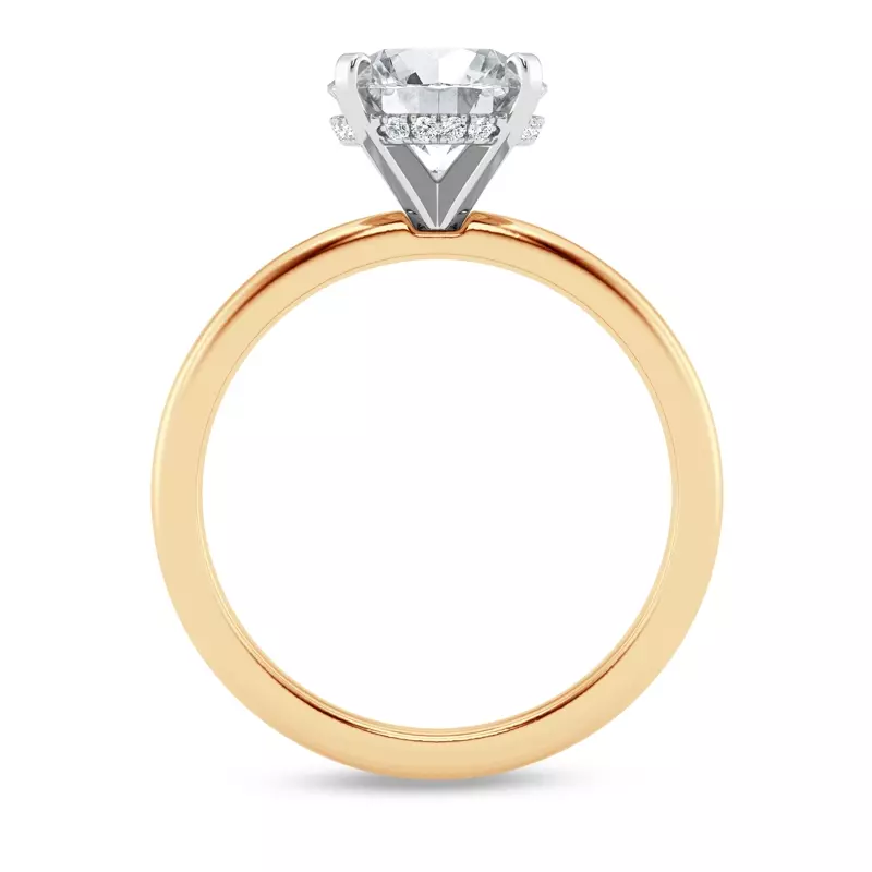 14K Yellow Gold Signature Hearts & Arrows Hidden Halo Engagement Ring (2mm)