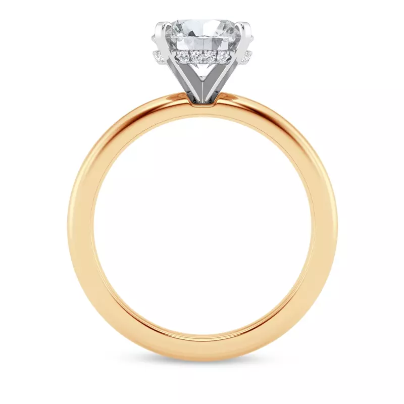 14K Yellow Gold Signature Hearts & Arrows Hidden Halo Engagement Ring (2.7mm)