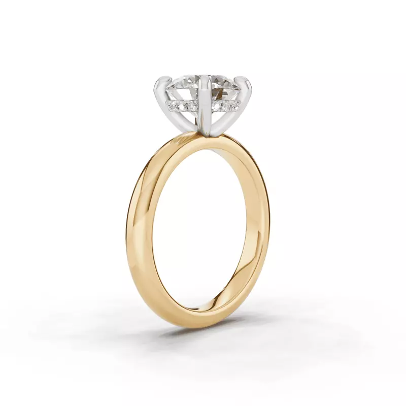 14K Yellow Gold Signature Hearts & Arrows Hidden Halo Engagement Ring (2.7mm)