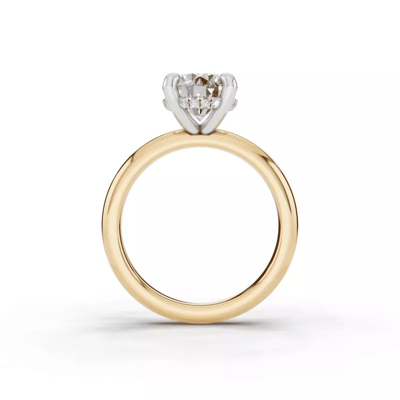 14K Yellow Gold Signature Hearts & Arrows Hidden Halo Engagement Ring (2.7mm)