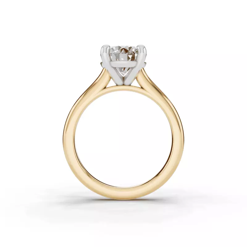 14K Yellow Gold Tradition Cathedral Solitaire Engagement Ring (2.7mm)