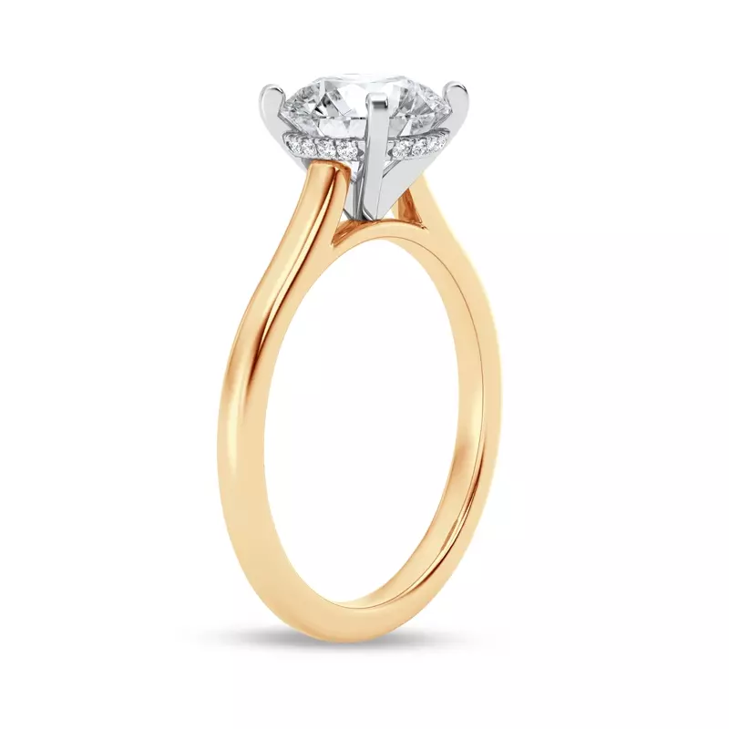 18K Yellow Gold Signature Hearts & Arrows Hidden Halo Cathedral Engagement Ring (2mm)