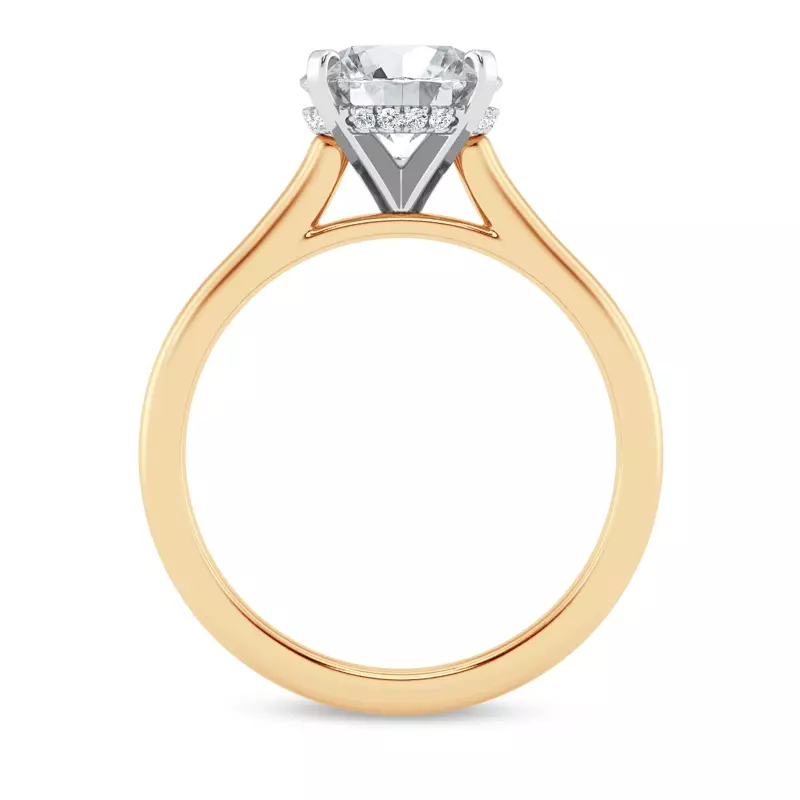 18K Yellow Gold Signature Hearts & Arrows Hidden Halo Cathedral Engagement Ring (2mm)