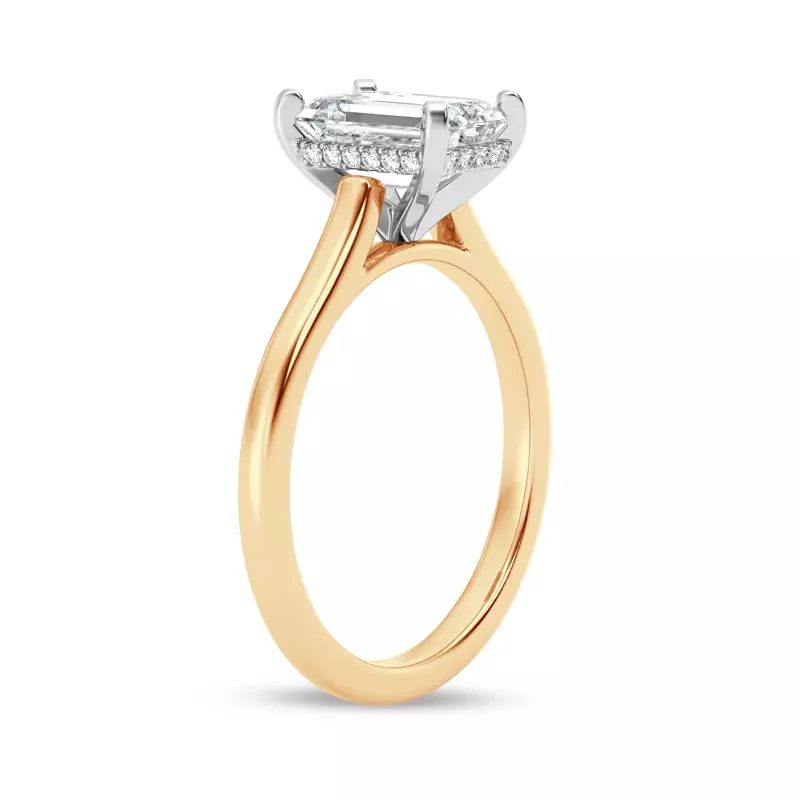 18K Yellow Gold Signature Hearts & Arrows Hidden Halo Cathedral Engagement Ring (2mm)