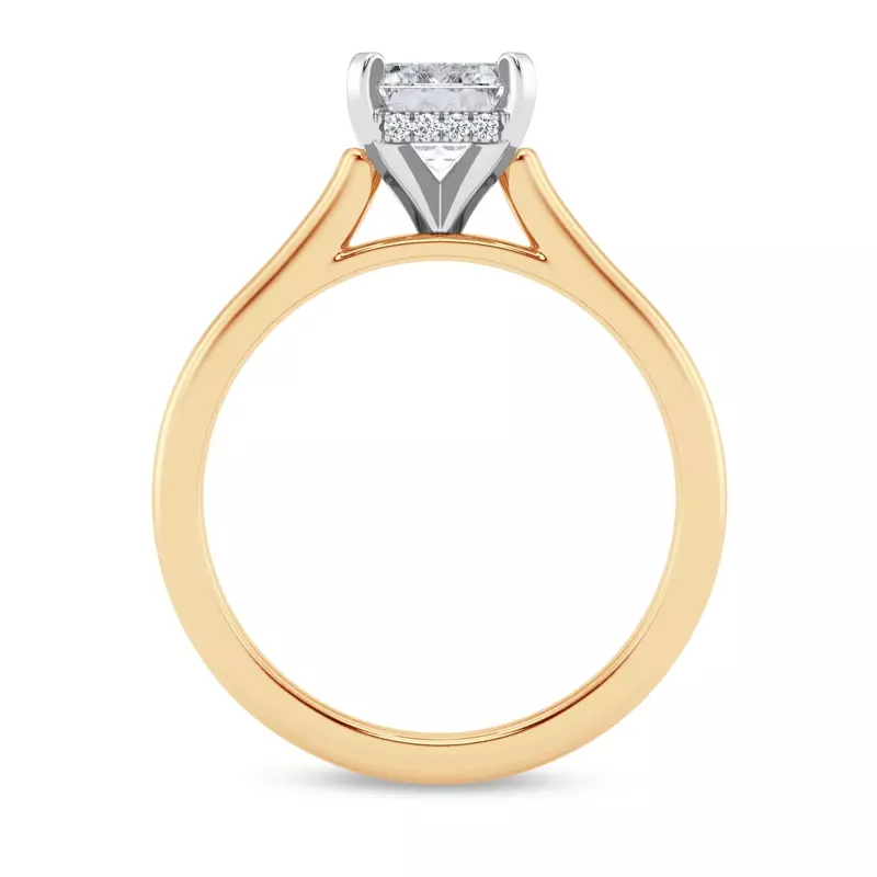 18K Yellow Gold Signature Hearts & Arrows Hidden Halo Cathedral Engagement Ring (2mm)