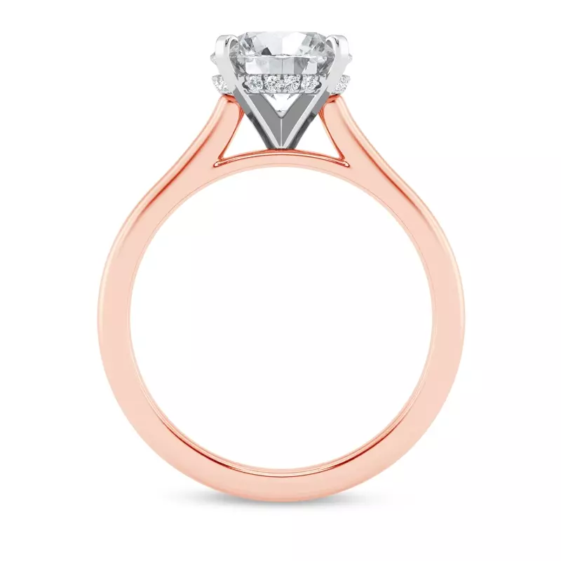 14K Rose Gold Signature Hearts & Arrows Hidden Halo Cathedral Engagement Ring (2mm)