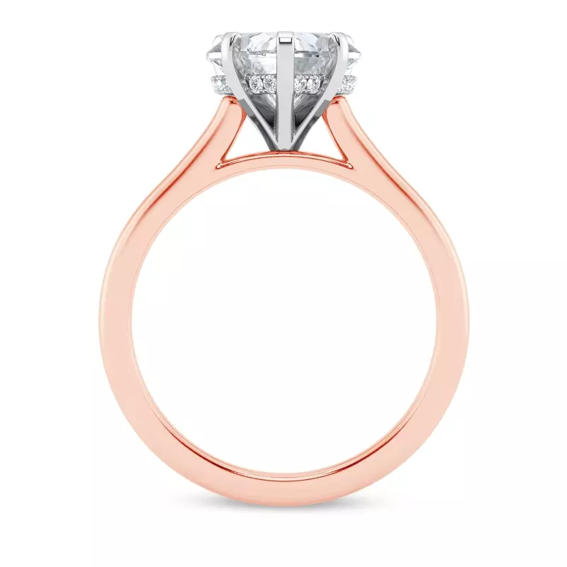 14K Rose Gold Signature Hearts & Arrows Hidden Halo Cathedral Engagement Ring (2mm)