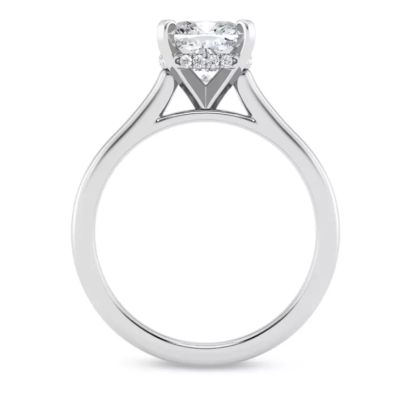 14K White Gold Signature Hearts & Arrows Hidden Halo Cathedral Engagement Ring (2mm)