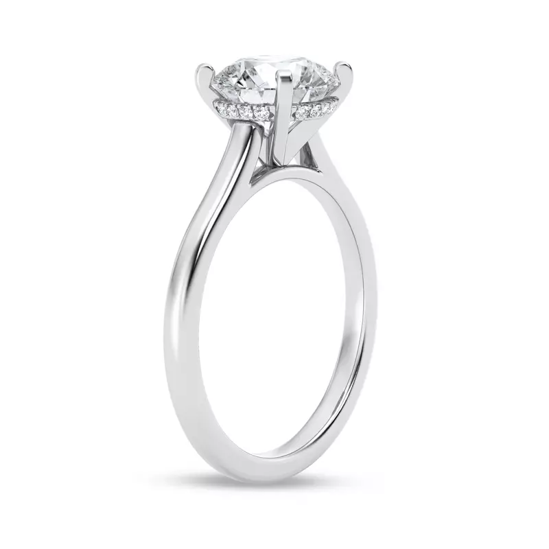14K White Gold Signature Hearts & Arrows Hidden Halo Cathedral Engagement Ring (2mm)