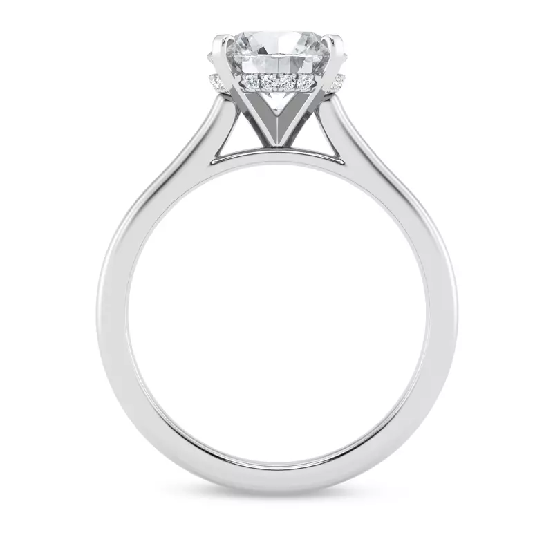 14K White Gold Signature Hearts & Arrows Hidden Halo Cathedral Engagement Ring (2mm)