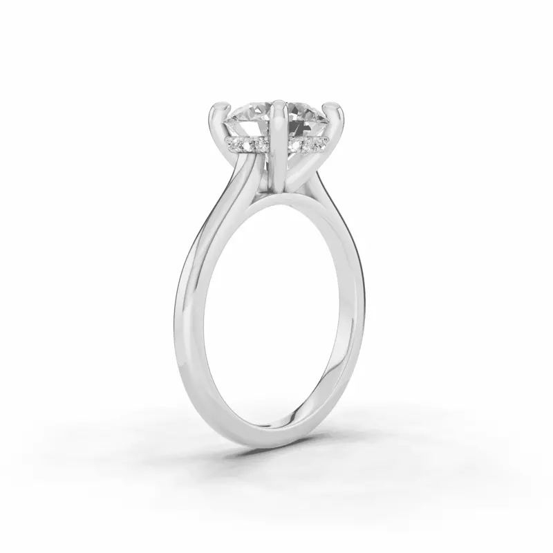 14K White Gold Signature Hearts & Arrows Hidden Halo Cathedral Engagement Ring (2mm)