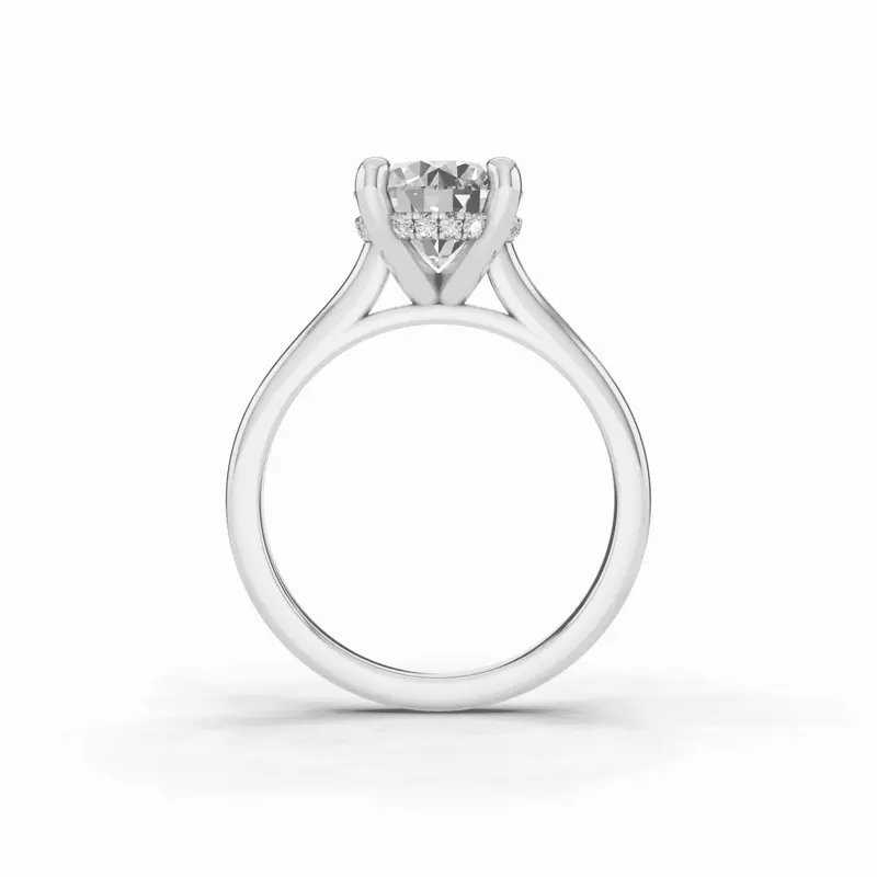 14K White Gold Signature Hearts & Arrows Hidden Halo Cathedral Engagement Ring (2mm)