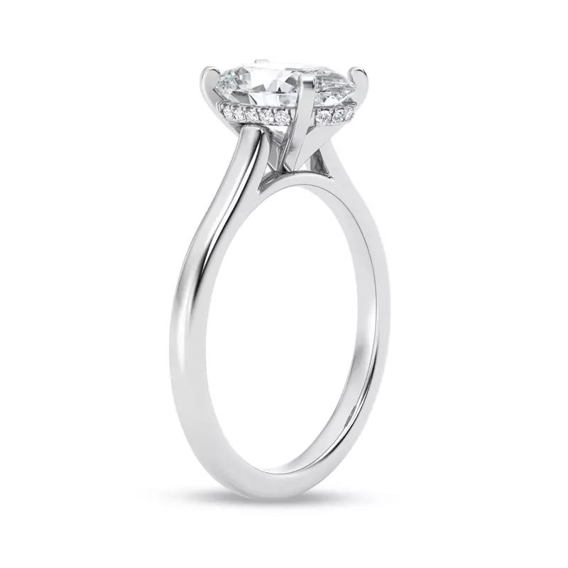 14K White Gold Signature Hearts & Arrows Hidden Halo Cathedral Engagement Ring (2mm)