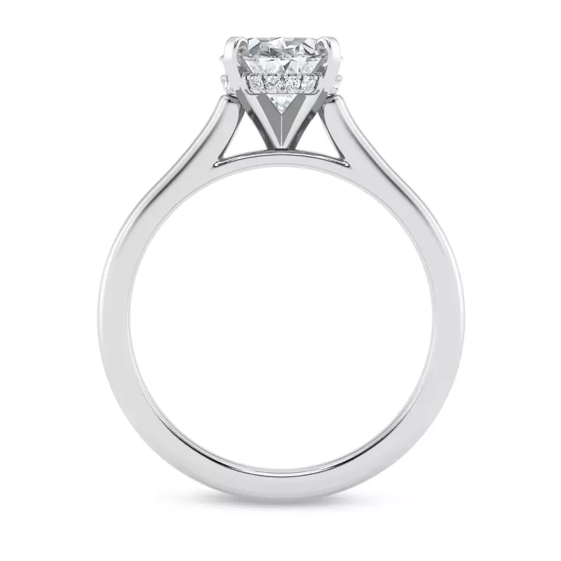 14K White Gold Signature Hearts & Arrows Hidden Halo Cathedral Engagement Ring (2mm)