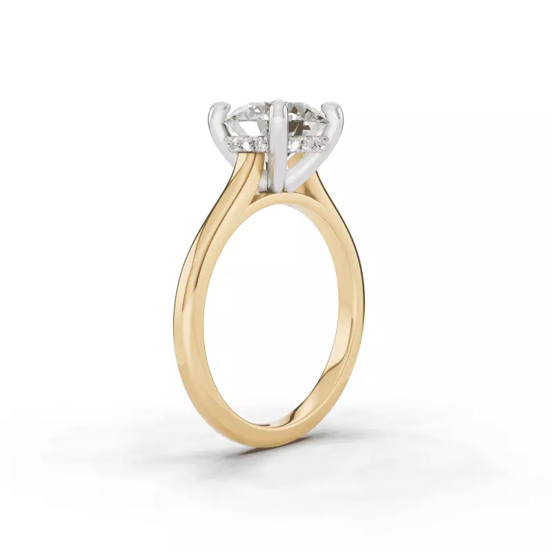 14K Yellow Gold Signature Hearts & Arrows Hidden Halo Cathedral Engagement Ring (2mm)