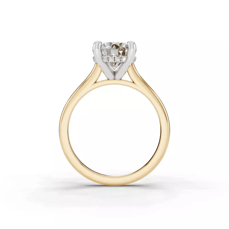 14K Yellow Gold Signature Hearts & Arrows Hidden Halo Cathedral Engagement Ring (2mm)
