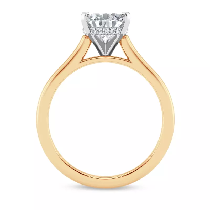 14K Yellow Gold Signature Hearts & Arrows Hidden Halo Cathedral Engagement Ring (2mm)