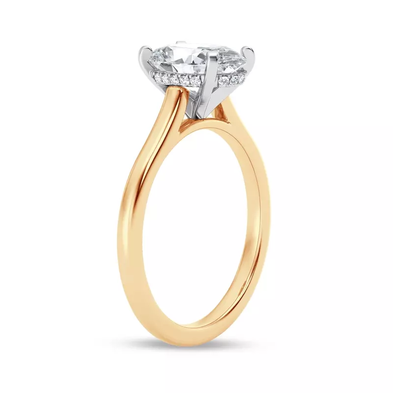 14K Yellow Gold Signature Hearts & Arrows Hidden Halo Cathedral Engagement Ring (2mm)