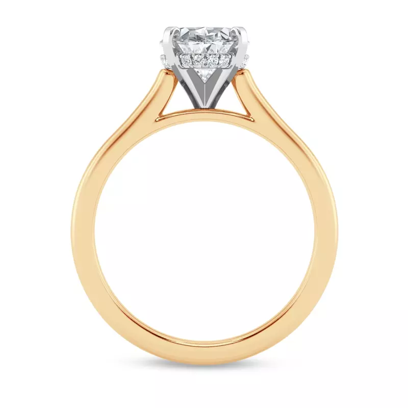 14K Yellow Gold Signature Hearts & Arrows Hidden Halo Cathedral Engagement Ring (2mm)