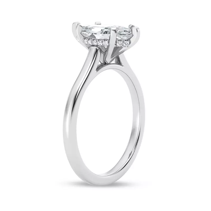 Platinum Signature Hearts & Arrows Hidden Halo Cathedral Engagement Ring (2mm)