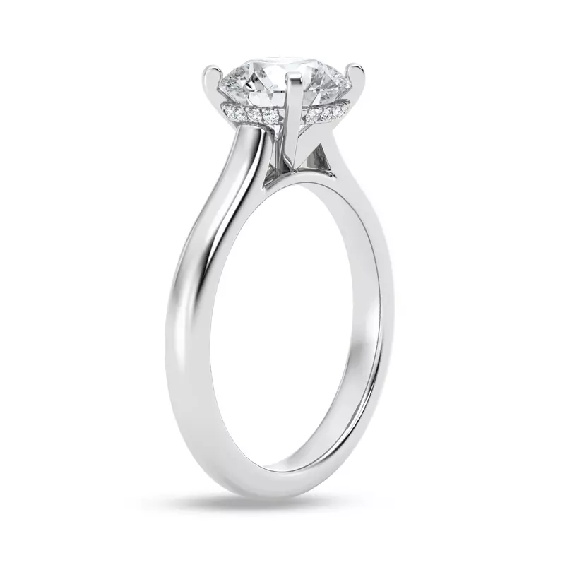 14K White Gold Signature Hearts & Arrows Hidden Halo Cathedral Engagement Ring (2.7mm)