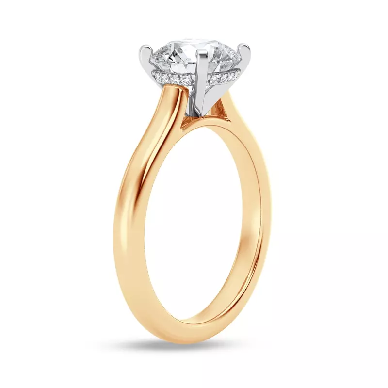 14K Yellow Gold Signature Hearts & Arrows Hidden Halo Cathedral Engagement Ring (2.7mm)