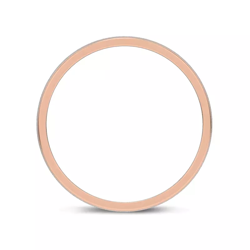 Rose Gold 14k & White Gold 14k Brushed Center High-Polish Edge Band (5mm)