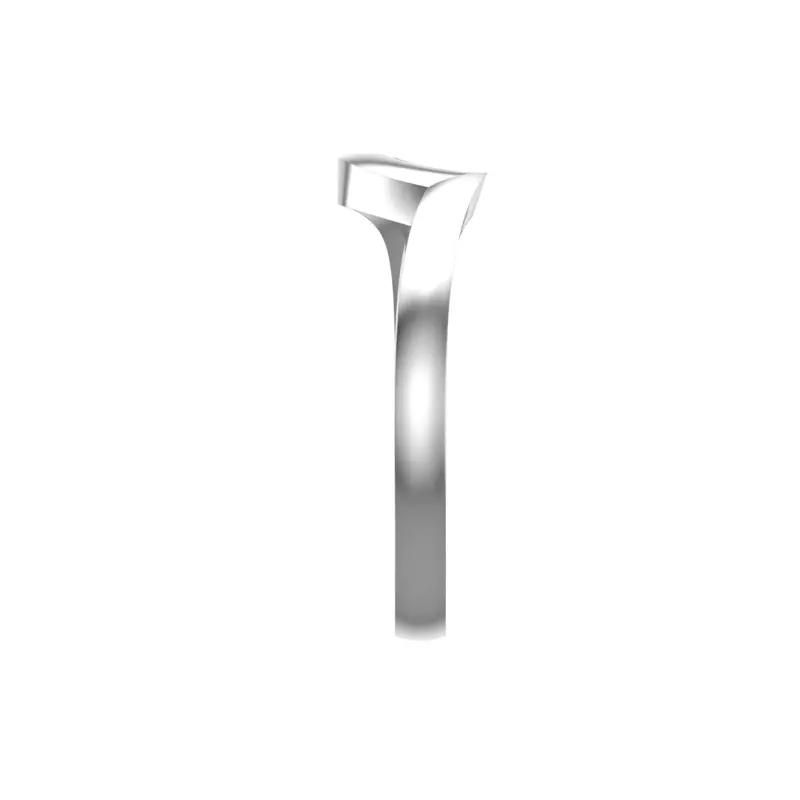 Platinum Amelia Band