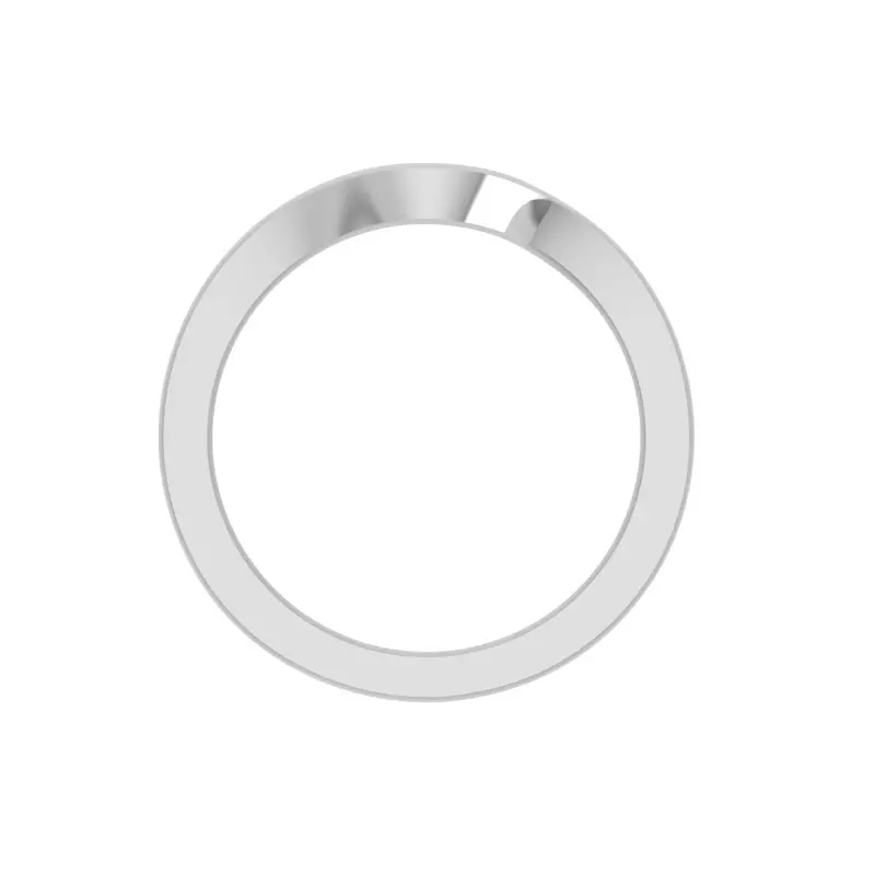 Platinum Amelia Band