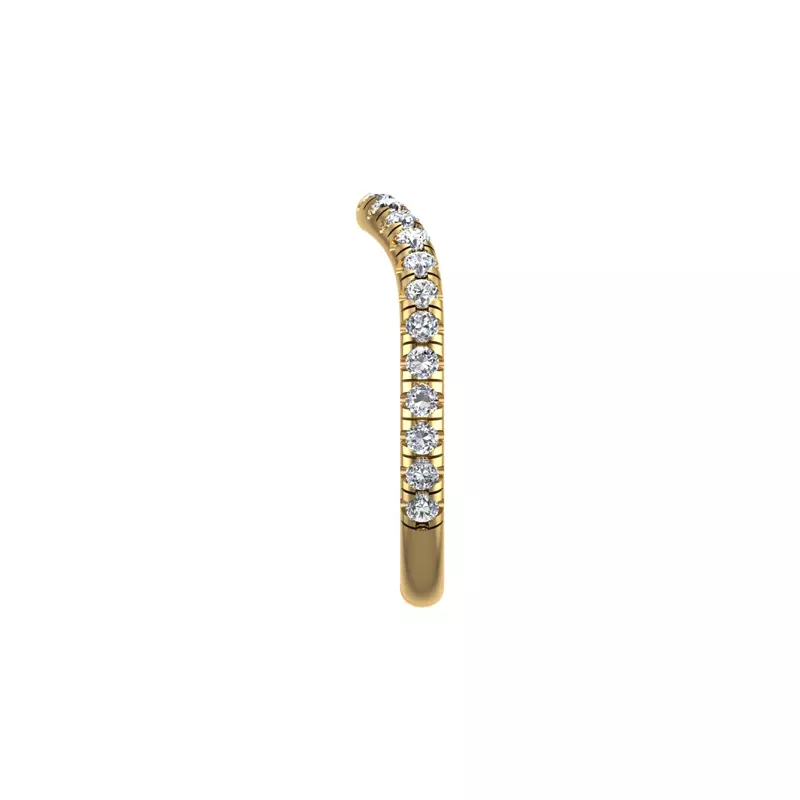 14K Yellow Gold Juniper Pave Band