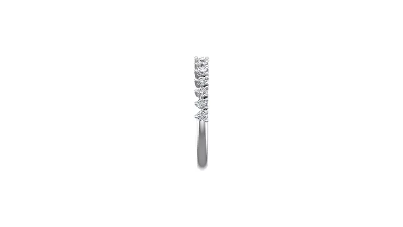 Platinum Aniya Pave Band