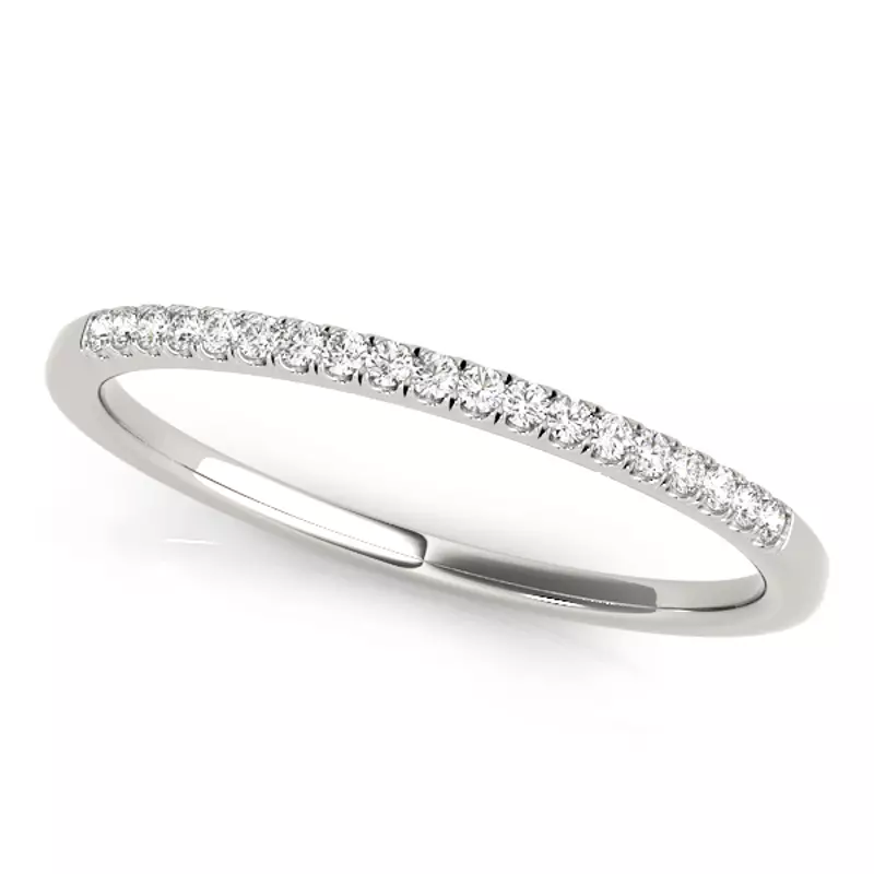 Platinum Aria Band