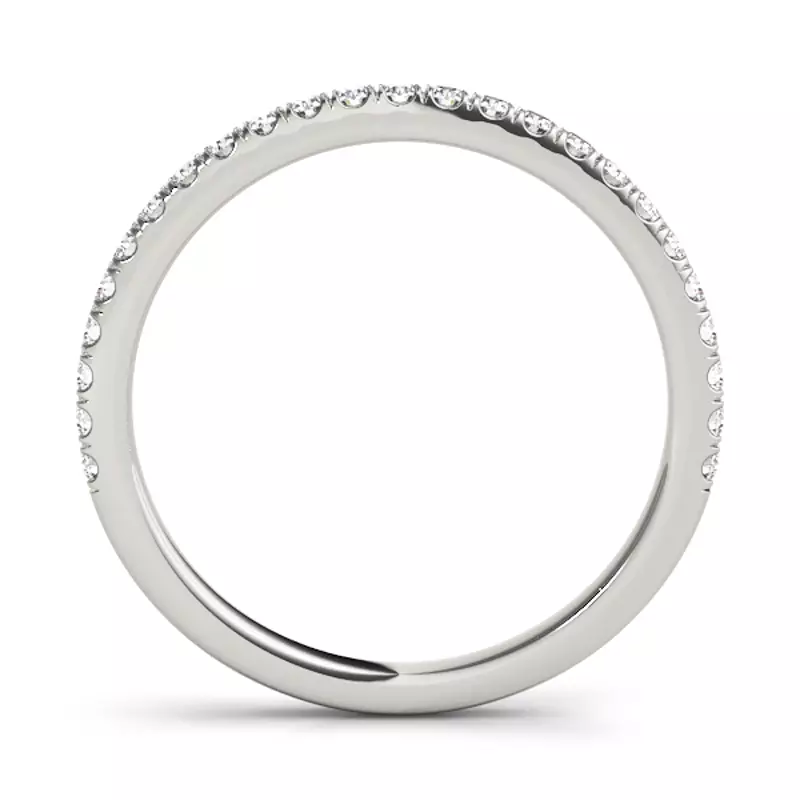 Platinum Stella Band