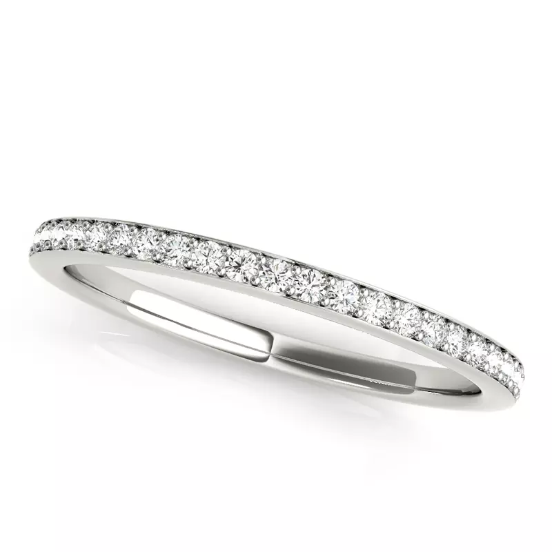 Platinum Amelia Band