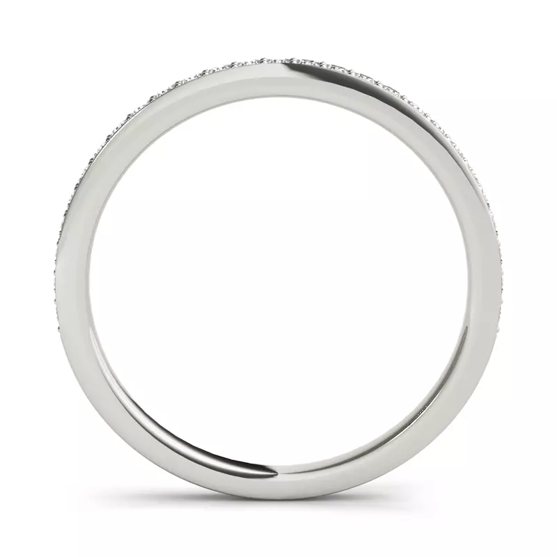 Platinum Amelia Band