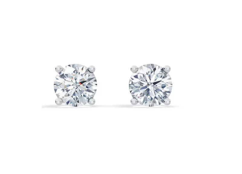 14K White Gold Lab Diamond Guardian Back Earrings (4 ct. tw.)